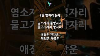 (댓글참조)9월 별자리운세 염소자리물병자리 물고기자리 양자리   애정운 건강운 직업운 재회운 (간단하게 보는  별자리운세) #타로 #타로운세 #수채화타로 #무료타로