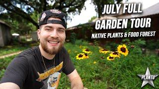 Full July Garden Tour! Texas Native Plants & Permaculture Food Forest