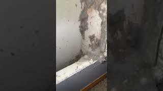 Kura Home - Professional air duct cleaning service