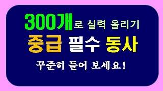 중급 필수 동사 300개