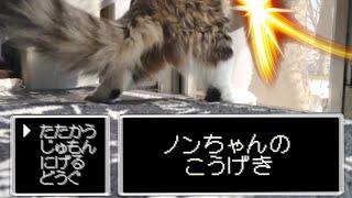 【猫動画】猫の喧嘩をドラクエバトル風にしてみた