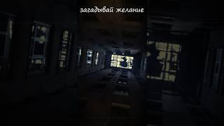 Загадывай желание  #shorts #питер #влог #санктпетербург #скну #смотрикакнеумею