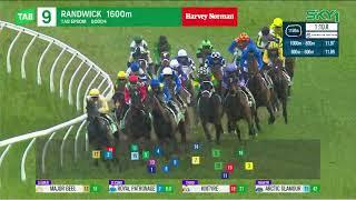 Epsom Handicap 2024 - CEOLWULF (3YO+ Hcp G1) Group 1 Randwick 5 October