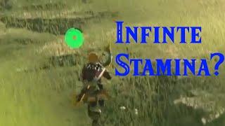 How to NEVER use stamina while sprinting in BotW | Whistle/Throw Sprinting Tutorial