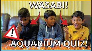 INTENSE Aquarium Quiz with Bodgie Juniors! WASABI PUNISHMENTS!