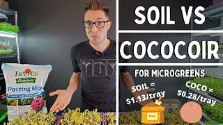 GROWING in SOIL vs COCO for SUNFLOWER MICROGREENS!