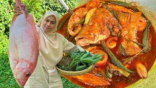 ASAM PEDAS IKAN MERAH SURR !