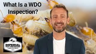 What is a WDO Inspection?