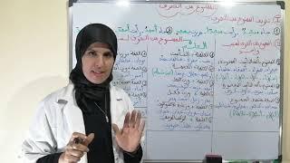 الممنوع من الصرف في ثلاث جمل  ذ  نادية بن الزاوية
