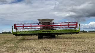 CLAAS LEXION 8800 in action