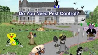 Livonia Michigan Pest Control And Wildlife Management Pest-Ez