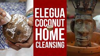 Coconut Home Cleansing with Elegua | Yeyeo Botanica