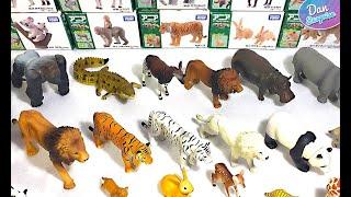 Wild Animals Takara Tomy Full Collection Showcase