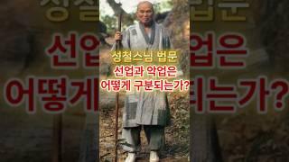 선업과 악업은 어떻게 구분되는가? #부처님 #참선 #성철스님