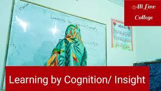 Learning by Cognition / Insight