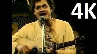 Cats In the Cradle - Harry Chapin 4K video