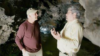 What do Fossils of Hollow Trees tell us about the Pre-Flood World? - Dr. Kurt Wise