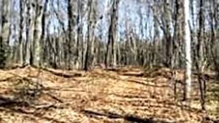 Homes for Sale - 5 Acres on Donut Lake Crandon WI 54520 - Patricia Reischl