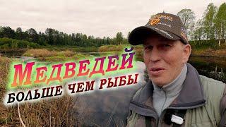 Река Межа - Медведей больше чем рыбы