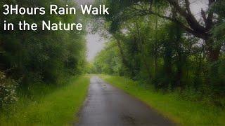 HEAVY RAIN WALK in FOREST 3H 4K | Bordeaux France 2021 / ASMR Rain Sounds for  Sleeping study