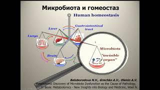 ПОН и микробиота Белобородова Н.В.