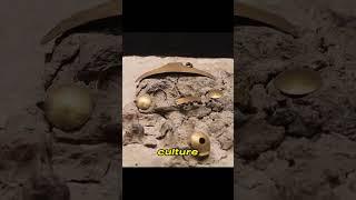 Gold treasure - The world's oldest gold | Historical Lens