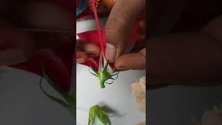 Dissection of hibiscus flower ( without bio lab) Part -7