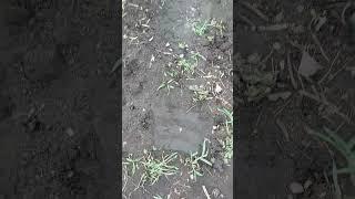 как сесть на шпагат за доли секунды? легко!