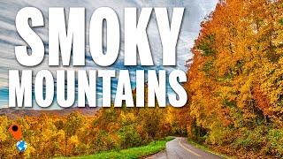 SMOKY MOUNTAINS National Park | Your QUICK GUIDE! | Travel Video