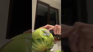 Never judge a watermelon by its cover