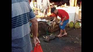 Gukguk Panggang - Pasar Ekstrem, Tomohon, Sulawesi Utara