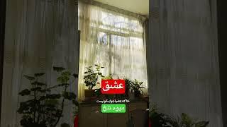 اگر به آدم ها عشق میدی و نتیجه اش رو نمیبینی، این ویدیو برای توئه...