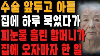 “요양원 보내자.” 수술 받기도 전에 아들 집에서 아들과 며느리의 대화를 들은 할머니가 집에 도착하자마자 한 일 | 사는 이야기 | 노년의 지혜 | 오디오북