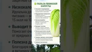  ПОЛЬЗА ПЕКИНСКОЙ КАПУСТЫ — ЗЕЛЁНАЯ ПОЛЬЗА ДЛЯ ВСЕГО ТЕЛА