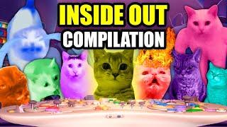 CAT MEMES: CAT's IN INSIDE OUT COMPILATION