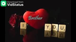 Brother and Sister || lovely Status ||