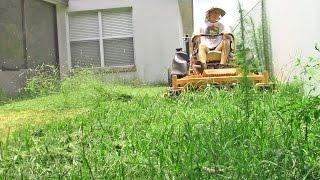 Lawn care vlog #23 Small yard with tall grass & weeds