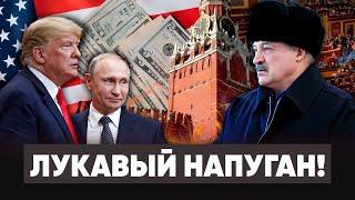 ЛУКАШЕНКО ПСИХУЕТ! Режим мародерствует в Украине. Беларусы - нищие.