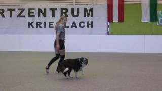 OEC DogDance 2016 FS 2nd Place