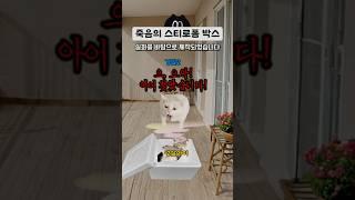베란다에 6개월간 방치된 박스