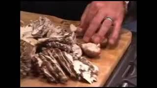 Why Paul Stamets does not like Portobello mushrooms.