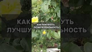 СЛОВА И МЫСЛИ ФОРМИРУЮТ ТВОЮ РЕАЛЬНОСТЬ