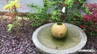 PADDOCK FARM NURSERY/ WATER GARDEN IN DARLINGTON.