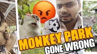 Monkey Attacked on me, Bali vlog gone wrong | Manik Aggarwal