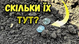 Вдалий вихід! Коп з minelab x-terra elite в Україні!