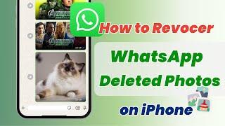 [3Ways] How to Recover WhatsApp Deleted Photos on iPhone with or without Backup