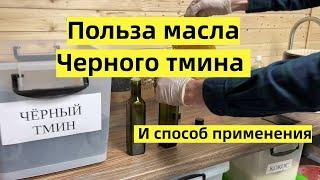 Польза масла черного тмина. Лечение ЖКТ. Способ применения масла черного тмина