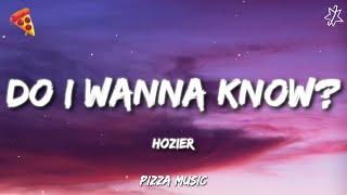 Hozier - Do I Wanna Know? (Lyrics)