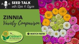 Seed Talk #44 - Zinnia Variety Comparison