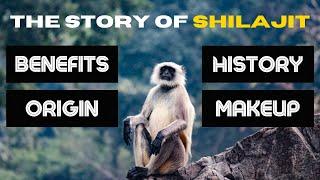 THE STORY OF SHILAJIT